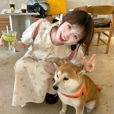 101朵玫瑰